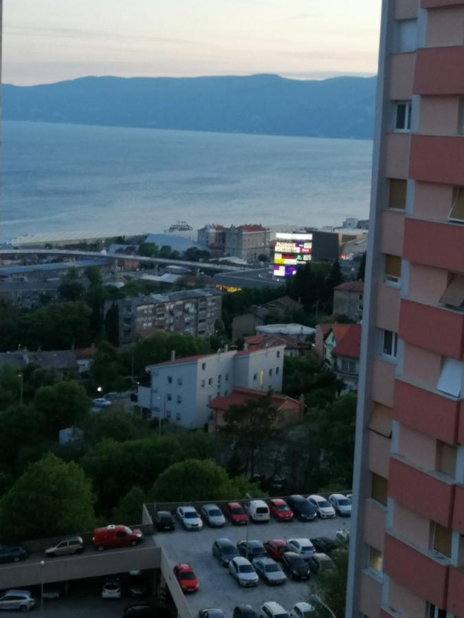Apartman Dea Apartment Rijeka Bagian luar foto